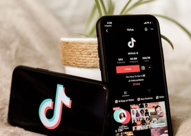 TikTok was reported by the Indonesian Electronic Logistics Association to the inspection agency. Break