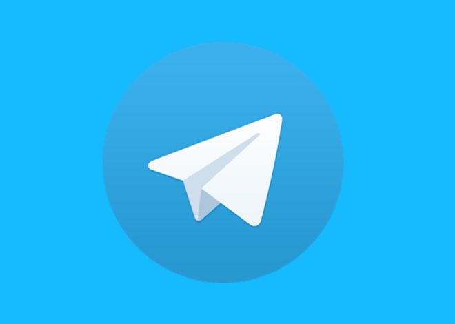 Telegram went to centralize the AI network Cocoon and launched the Privacy AI Calculator Network.